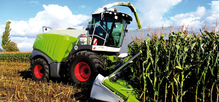 Forage harvester